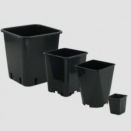 De pot waarin een wietplant staat zal de grootte van je plant sterk beïnvloed Hoe kleiner de pot hoe kleiner de wietplant