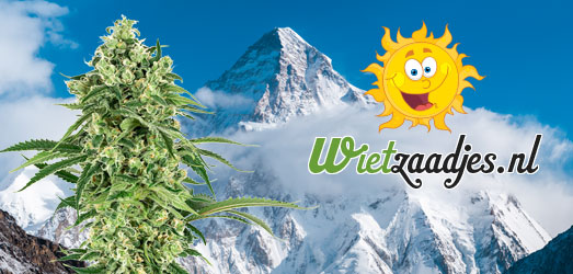 K2 van het huismerk van Wietzaadjes.nl. K2 van Huismerk Wietzaadjes.nl.