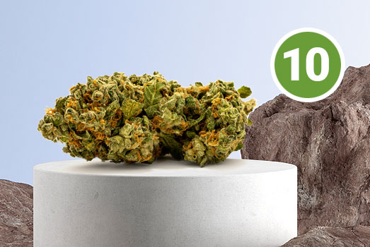 Nummer 10. OG Kush wiet Nummer 10. OG Kush wiet