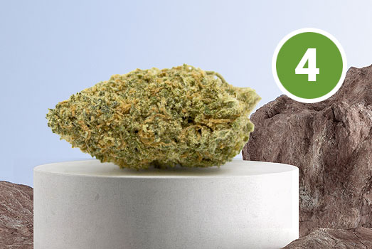 Nummer 4. Afghan Skunk wiet Nummer 4. Afghan Skunk wiet
