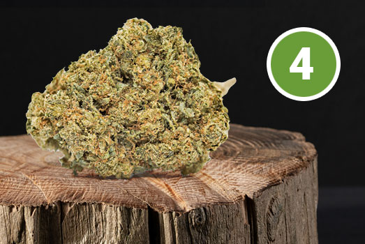 Nummer 4. White Widow X Bigger Bud wiet Nummer 4. White Widow X Bigger Bud wiet