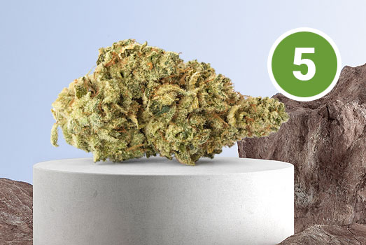 Nummer 5. White Widow wiet Nummer 5. White Widow wiet
