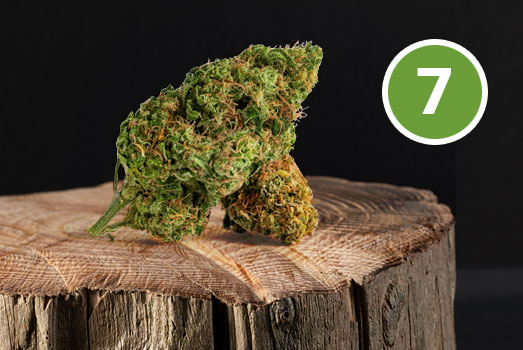 Nummer 7. Trainwreck wiet Nummer 7. Trainwreck wiet