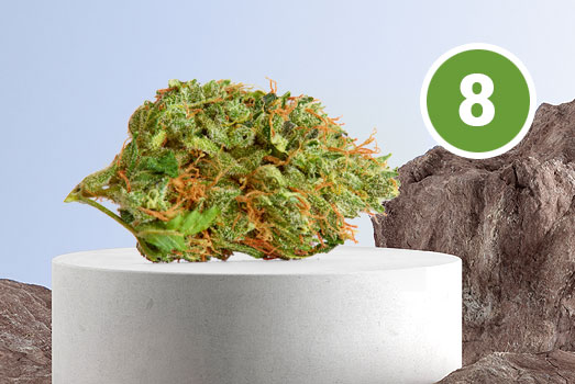 Nummer 8. Gorilla Glue wiet Nummer 8. Gorilla Glue wiet