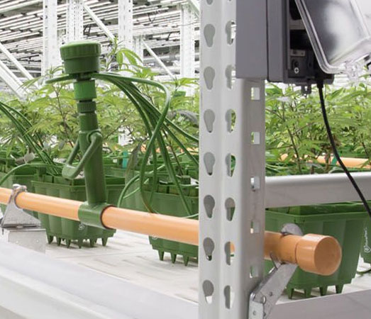 Bewatering verticale cannabis kweek. Bewatering verticale cannabis kweek.