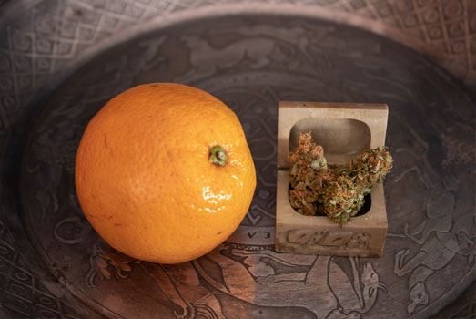Sfeerfoto Orange Bud cannabis. Sfeerfoto Orange Bud cannabis.