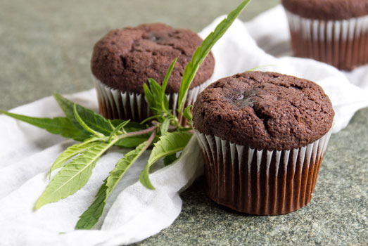 Cannabias consumeren via edibles. Cannabias consumeren via edibles.