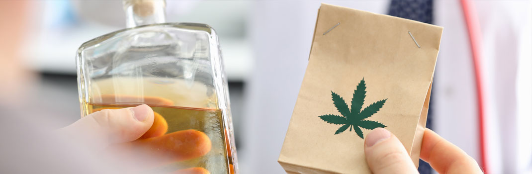 Cannabis is minder verslavend is dan het drinken van alcohol. Cannabis is minder verslavend is dan het drinken van alcohol.