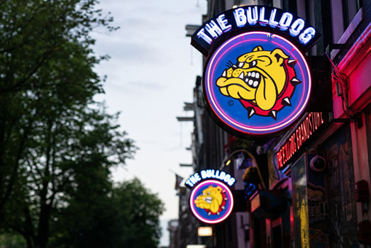 Coffeeshops vallen onder het gedoogbeleid. verhuurder kan het huurcontract dan ontbinden na ontdekking van de kwekerij.