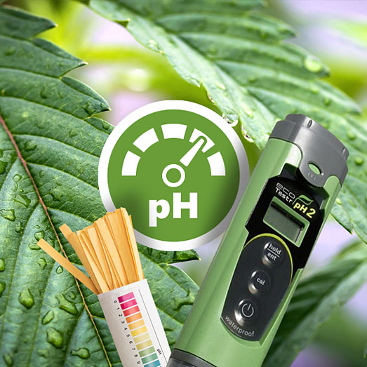 Controleer regelmatig de Ph-waarde van de bodem. Controleer regelmatig de Ph-waarde van de bodem.