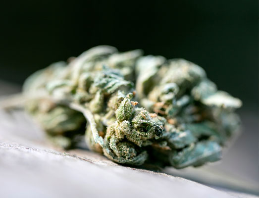 Lemon Haze kost 13-15 euro per gram. Lemon Haze kost 13-15 euro per gram.