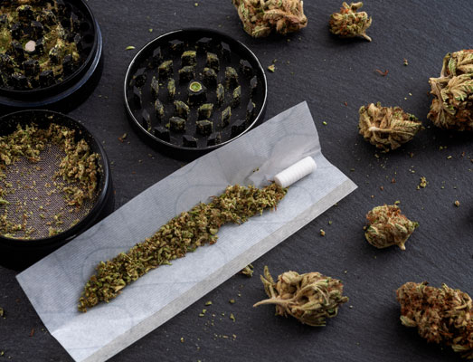 Het is bekend dat deze wietsoort de hoogste highs produceert. Het is bekend dat deze wietsoort de hoogste highs produceert.