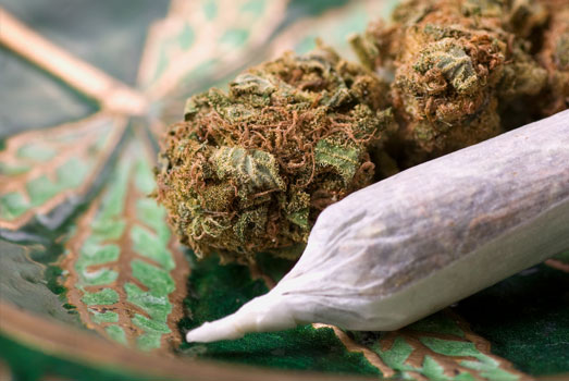 Het roken van Berry Kush wiet zorgt voor een intense fysieke high. Het roken van Berry Kush wiet zorgt voor een intense fysieke high.