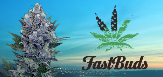 Girl Scout Cookies van FastBuds. Girl Scout Cookies van FastBuds.