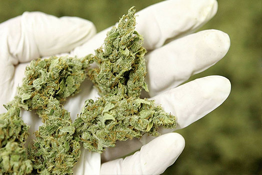 Er mag in coffeeshops niet meer dan 5 gram wiet per persoon worden verkocht. Er mag in coffeeshops niet meer dan 5 gram wiet per persoon worden verkocht.