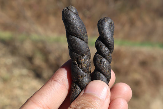 Malana Cream charas uit de Parvati Vallei. Malana Cream charas uit de Parvati Vallei.