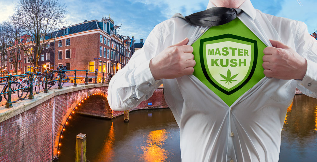 Master Kush - Cannabis Strain Informatie