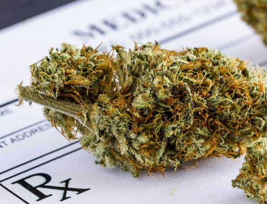 Medicinale cannabis op doktersrecept. Medicinale cannabis op doktersrecept.
