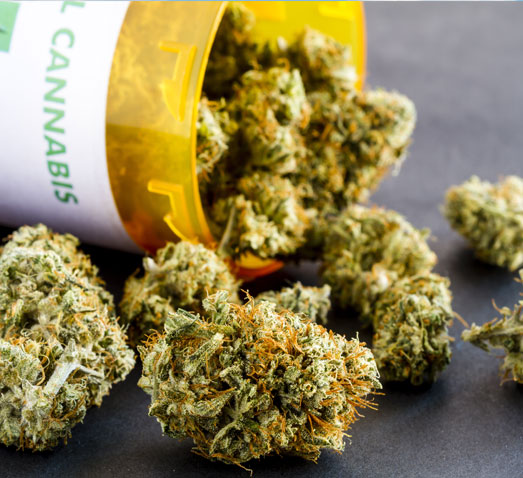 Medicinale cannabis is in opkomst en geniet steeds vaker de voorkeur boven traditionele medicijnen. Medicinale cannabis is in opkomst en geniet steeds vaker de voorkeur boven traditionele medicijnen.