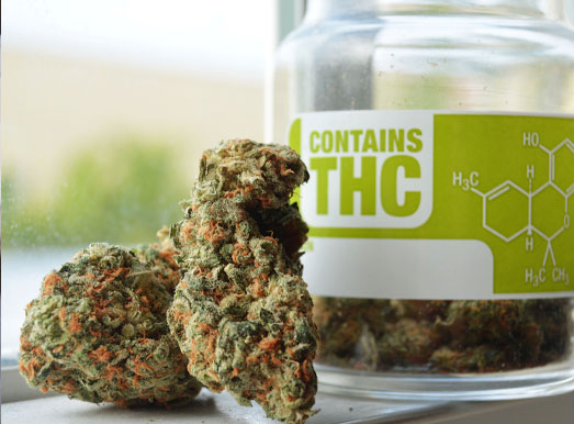 Haar hoge THC-gehalte zorgt voor een brede medicinale werking. Haar hoge THC-gehalte zorgt voor een brede medicinale werkings.
