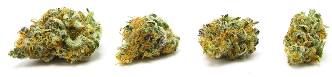 Hoelang je stoned blijft is uiteraard ook afhankelijk van de hoeveelheid cannabis. Hoelang je stoned blijft is uiteraard ook afhankelijk van de hoeveelheid cannabis.