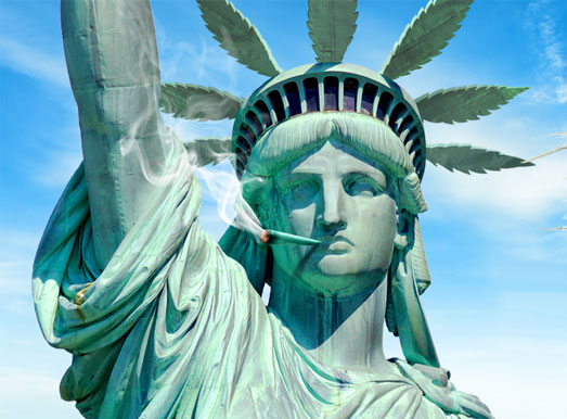 Lemon Haze komt oorspronkelijk uit Amerika. Lemon Haze komt oorspronkelijk uit Amerika.