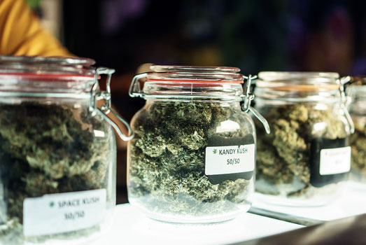 Zorg dat je de cannabis goed bewaart. Zorg dat je de cannabis goed bewaart.