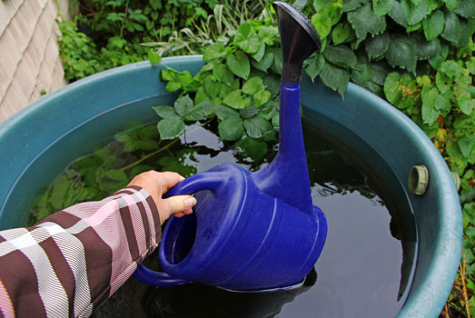 Gebruik bij kweken met biologische voeding regenwater. Gebruik bij kweken met biologische voeding regenwater.