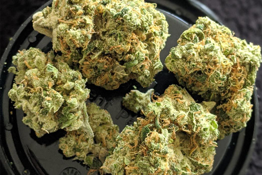 Sour Diesel wiet. Sour Diesel wiet.