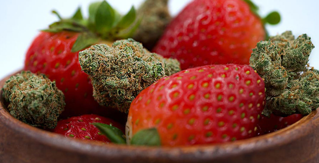 Strawberry Kush cannabis strain informatie