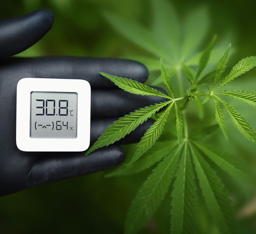 Meten temperatuur en luchtvochtigheid met een hygrometer. Meten temperatuur en luchtvochtigheid met een hygrometer.