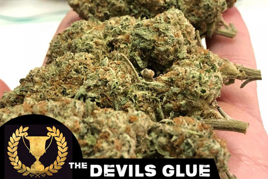 Toppen van de prijs winnende Devils Glue. Toppen van de prijs winnende Devils Glue.