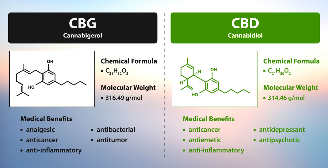 Verschil tussen CBG en CBD. Verschil tussen CBG en CBD.