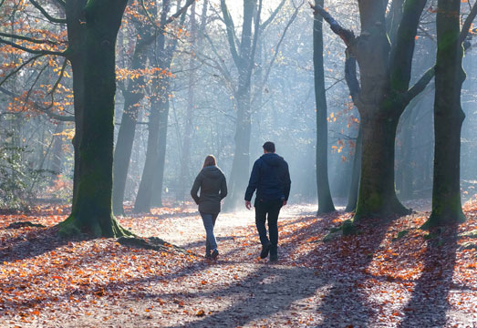 Wandelen en bewegen helpt THC sneller af te breken. Wandelen en bewegen helpt THC sneller af te breken.