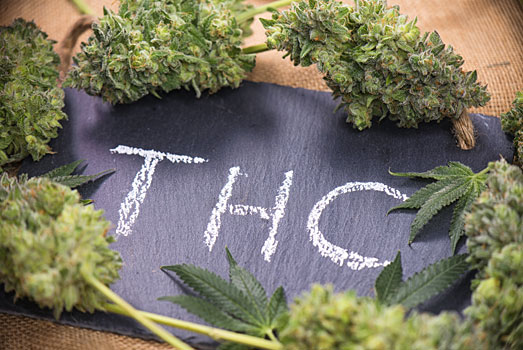 Tetrahydrocannabinol (THC) is de belangrijkste psychoactieve stof in wiet. Tetrahydrocannabinol (THC) is de belangrijkste psychoactieve stof in wiet.
