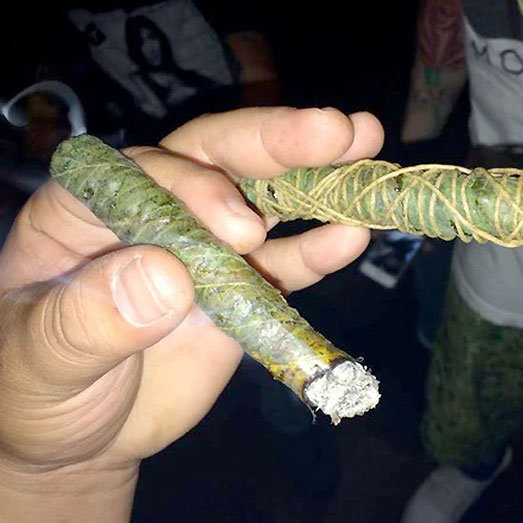 Een Thai Stick rook je als een goede sigaar. Een Thai Stick rook je als een goede sigaar.