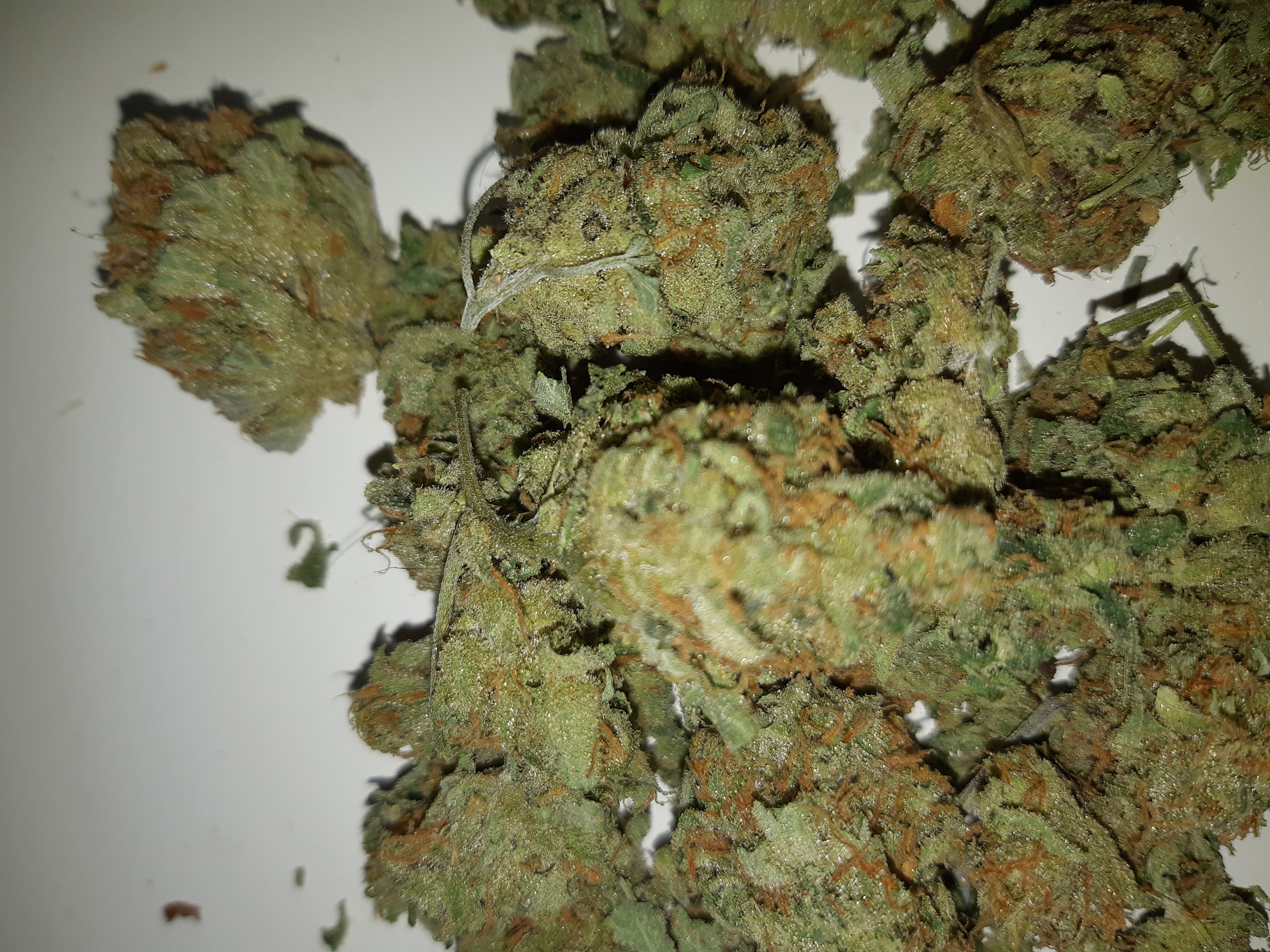 amnesia haze amnesia haze