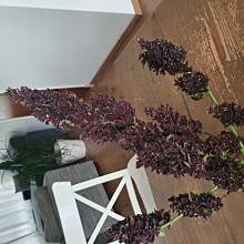 Purple Kush Automatic