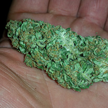 Kera NLX Diamond Auto