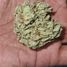 60 Day Grapefruit Auto