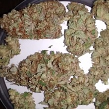 Cream Mandarine Auto