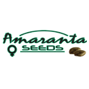 Amaranta Seeds