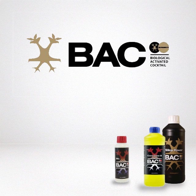 BAC