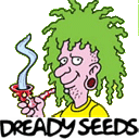 Dready Seeds
