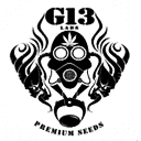 G13 Labs