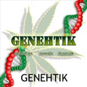 Genehtik Seeds