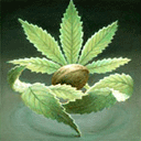 Homegrown Fantaseeds