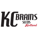 KC Brains