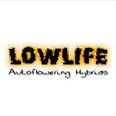 Lowlife Seeds