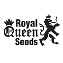 Royal Queen Seeds